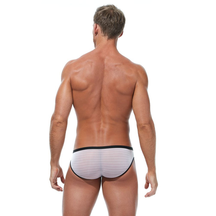RENEGADE Brief