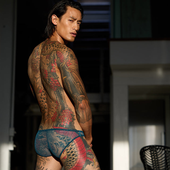 DRAGONFLY Brief