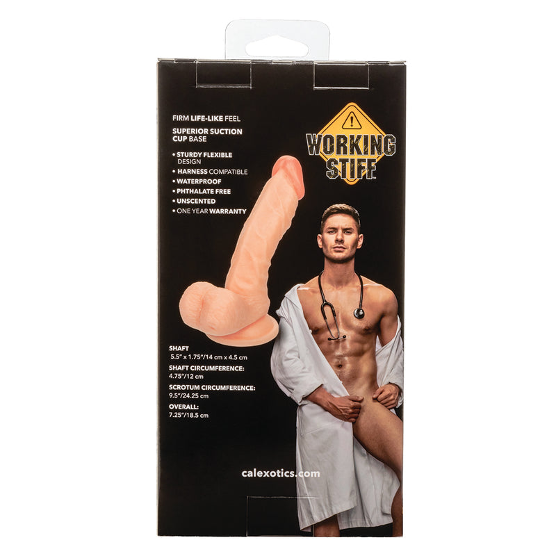 CaleXOtics – Working Stiff - The Doctor – 5.5” Dong – Light Ivory