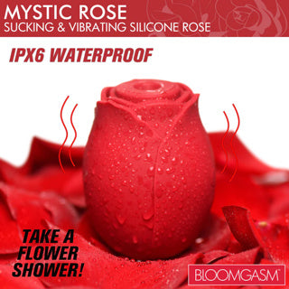 Bloomgasm - Mystic Rose